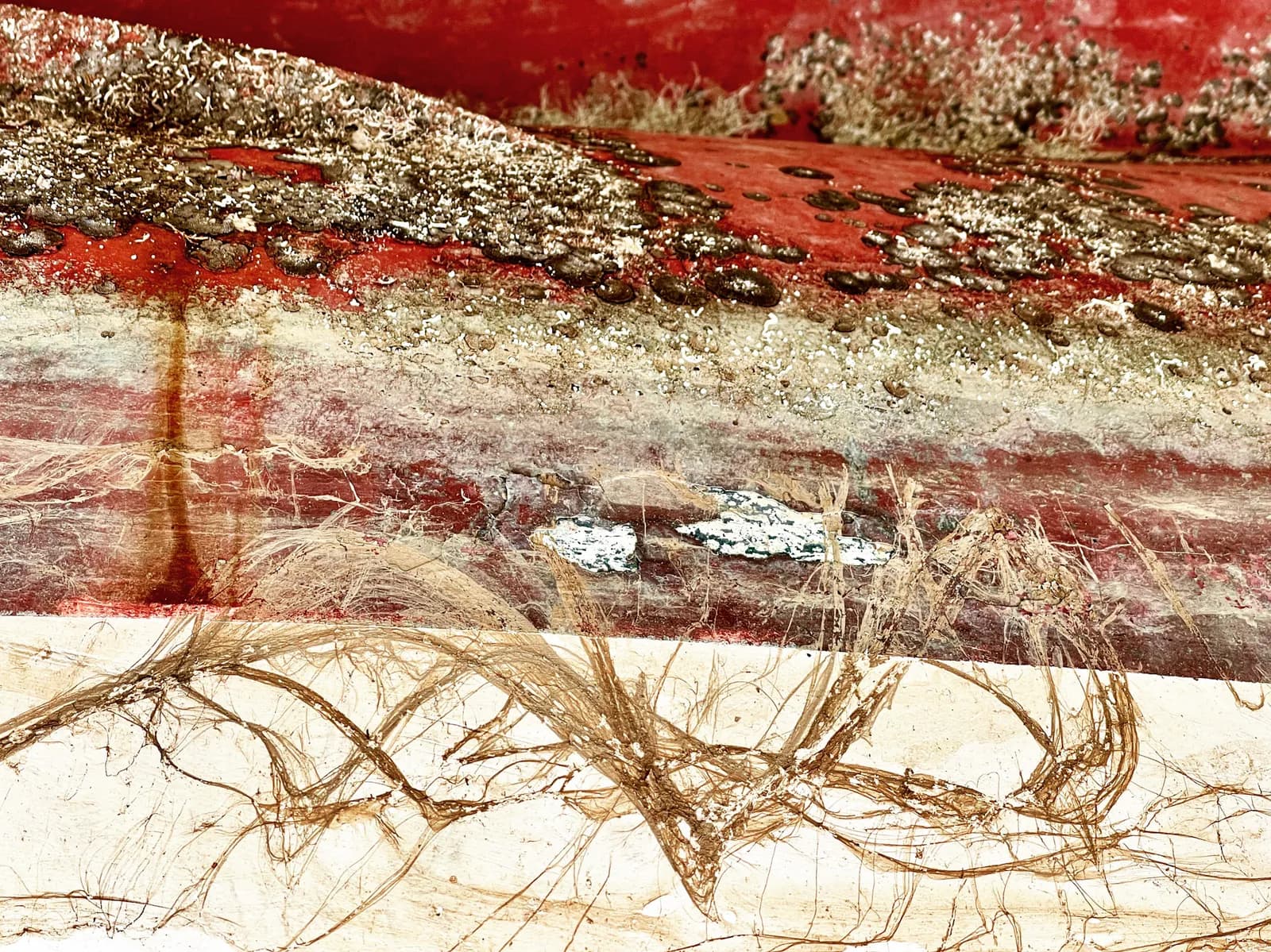 Surfaces de l'espace — Life on mars